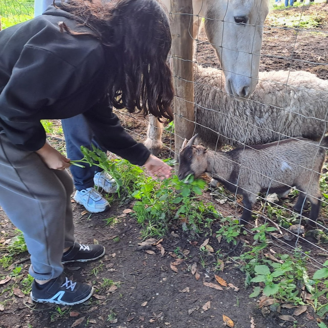 Visita de Estudo à Quinta Omnia