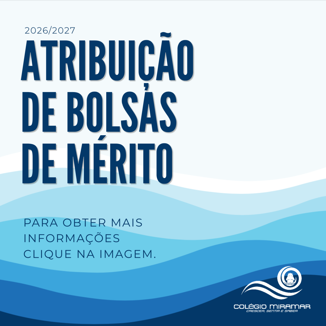 Popup-Bolsas de mérito.png